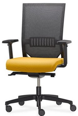 Bürostuhl Easy Pro